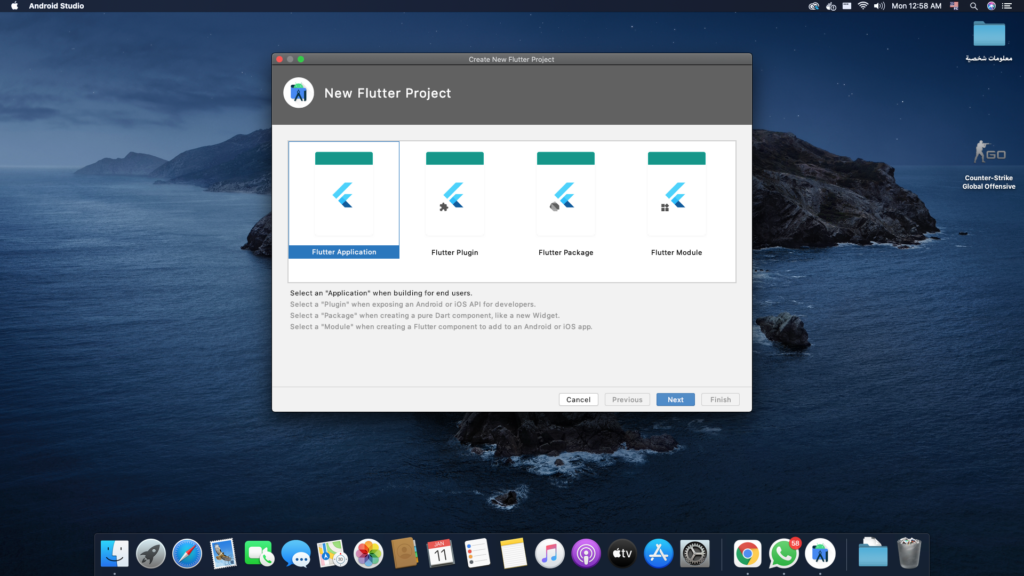 اختر Flutter Application واضغط على Next
